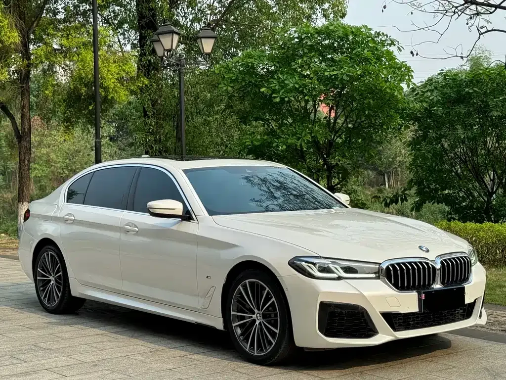BMW 5 Series 2021 из CN, фото 9
