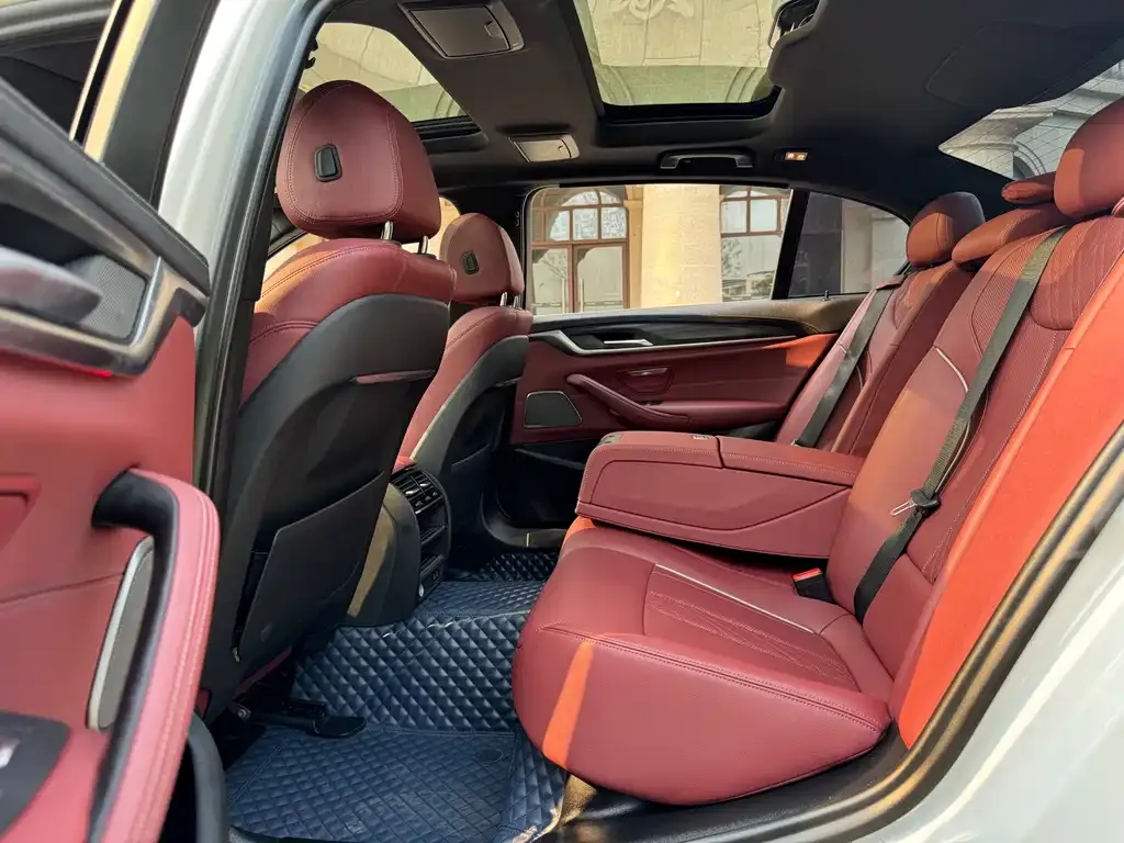 BMW 5 Series 2021 из CN, фото 10