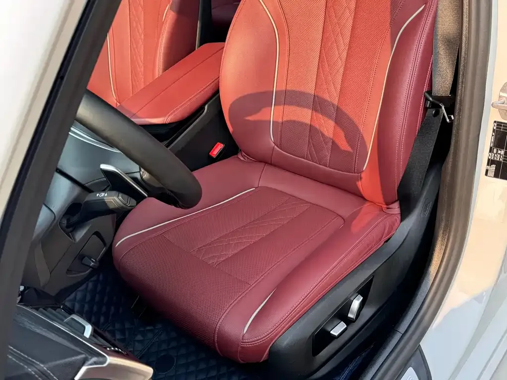BMW 5 Series 2021 из CN, фото 7