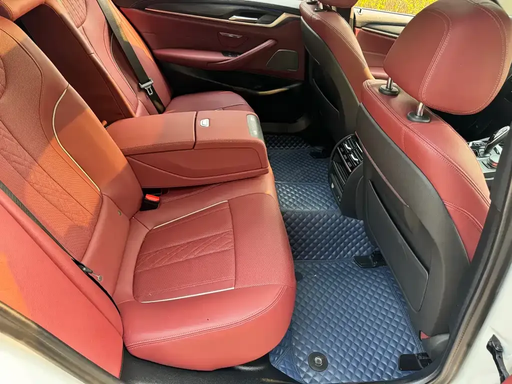 BMW 5 Series 2021 из CN, фото 5