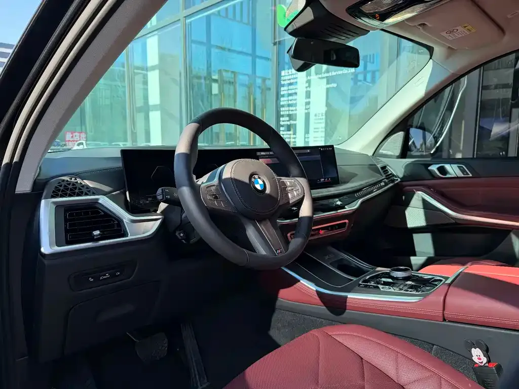 BMW X5 — фото 8