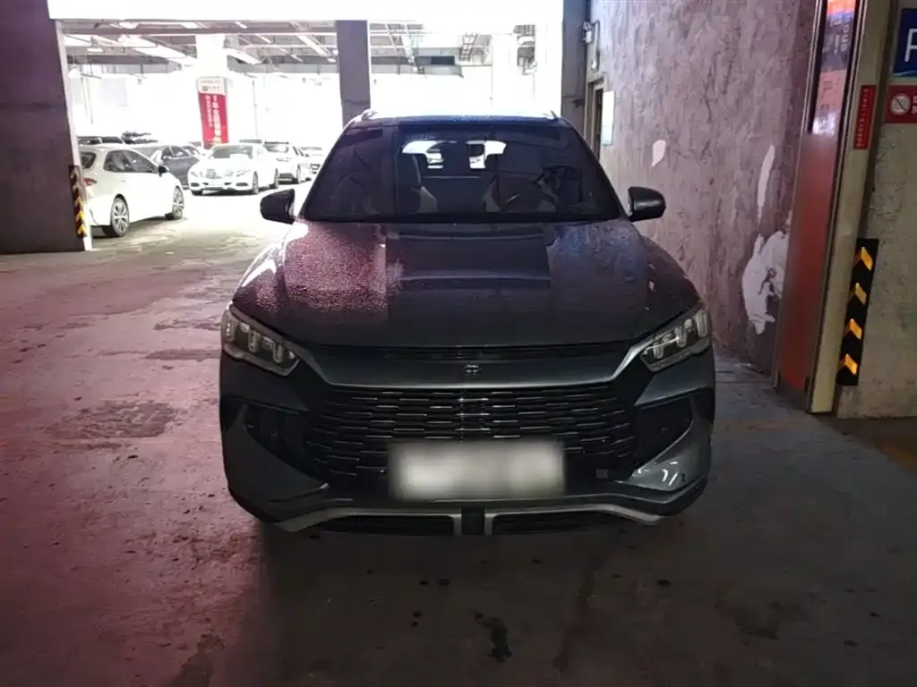 BYD Pro New Energy 2024 из CN, фото 7