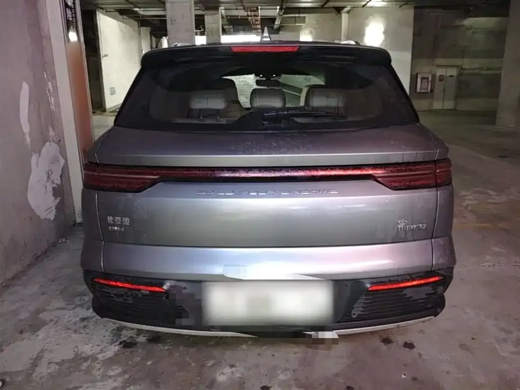 BYD Pro New Energy 2024 из CN, фото 5