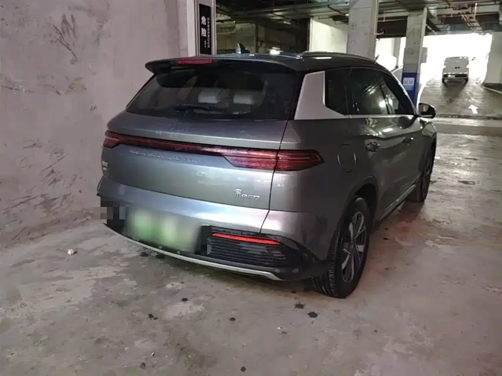 BYD Pro New Energy 2024 из CN, фото 2