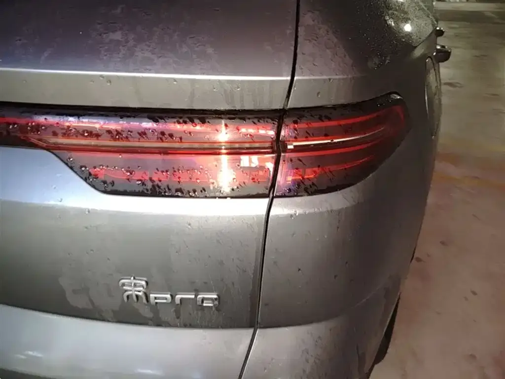 BYD Pro New Energy 2024 из CN, фото 3