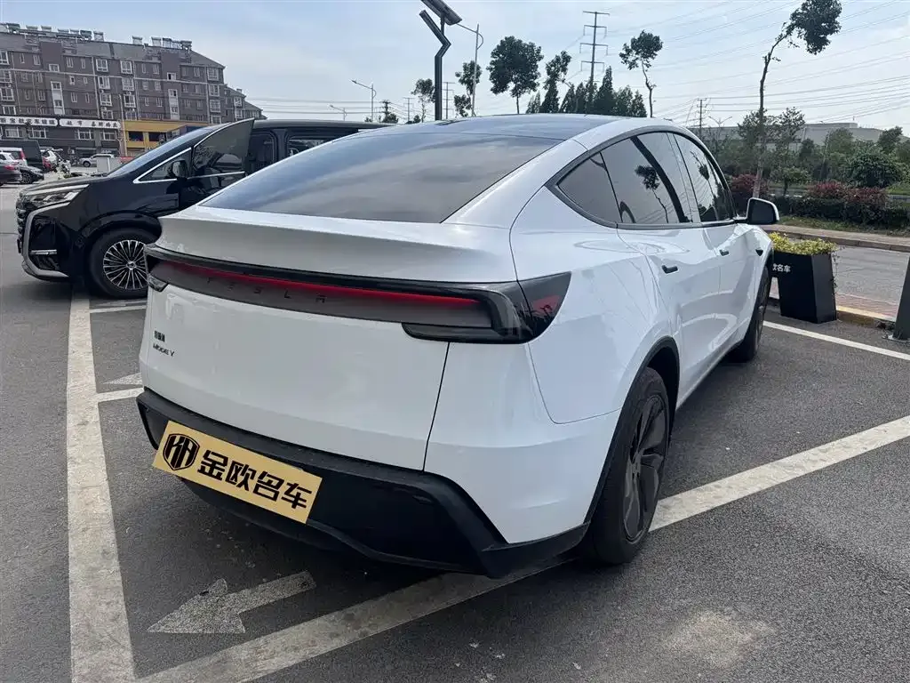Tesla Model Y — фото 6