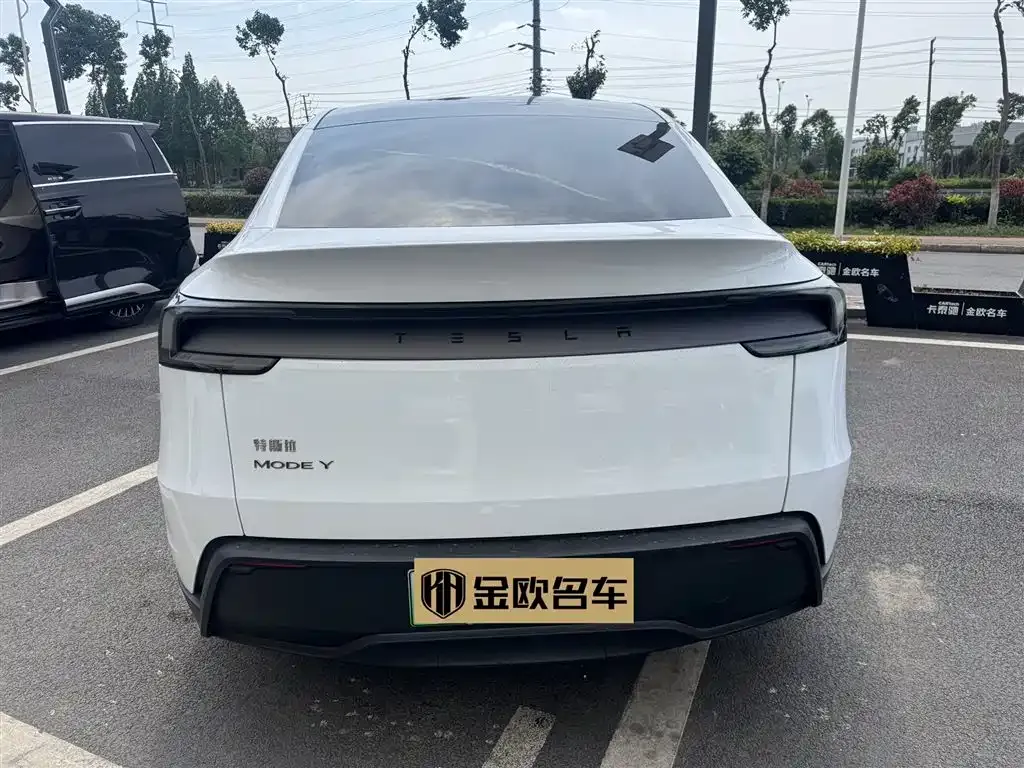 Tesla Model Y — фото 9