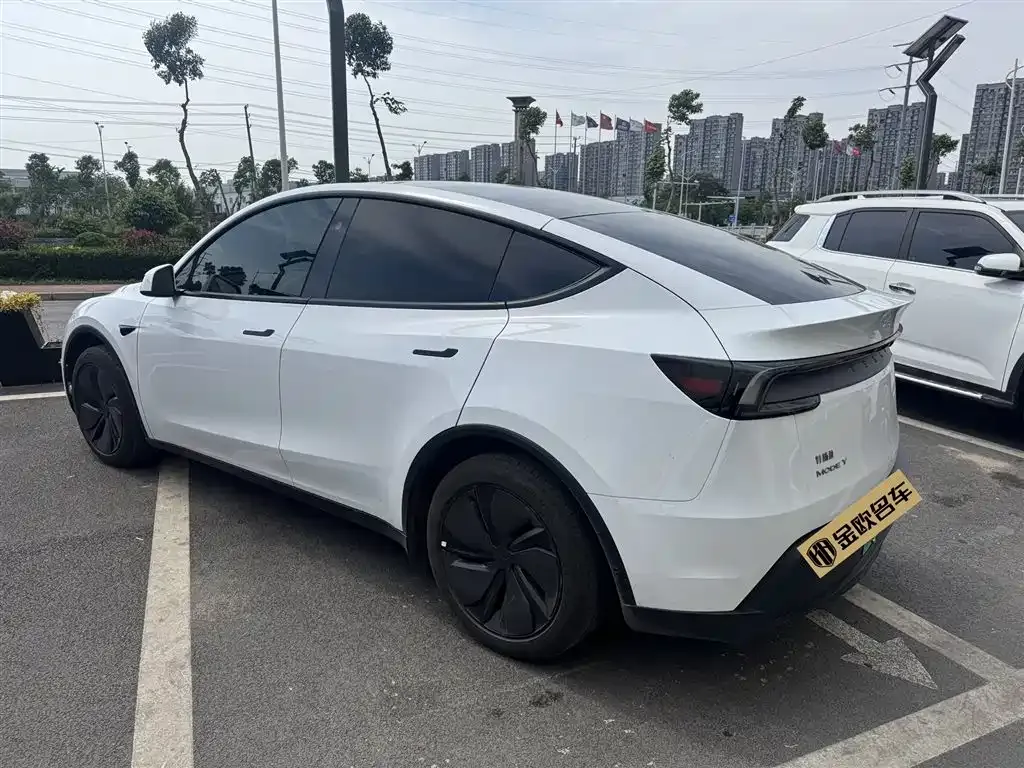 Tesla Model Y — фото 8