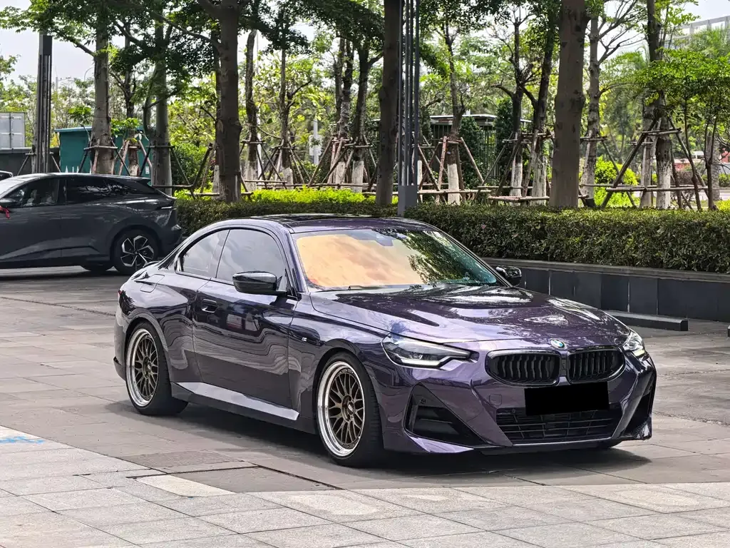 BMW 2 Series (Import) — фото 6