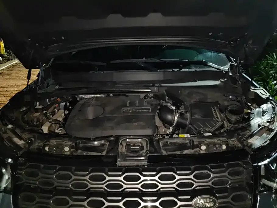 Land Rover Discovery Sport Hybrid 2021 из CN, фото 6