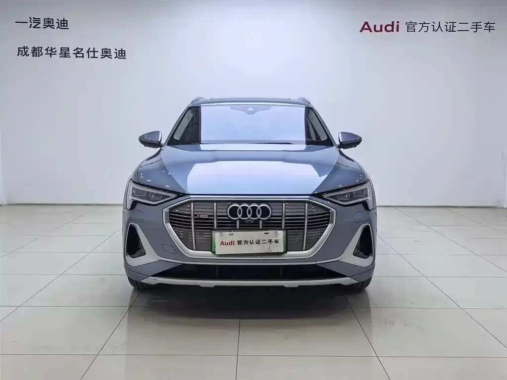 Audi e-tron 2024 из CN, фото 8
