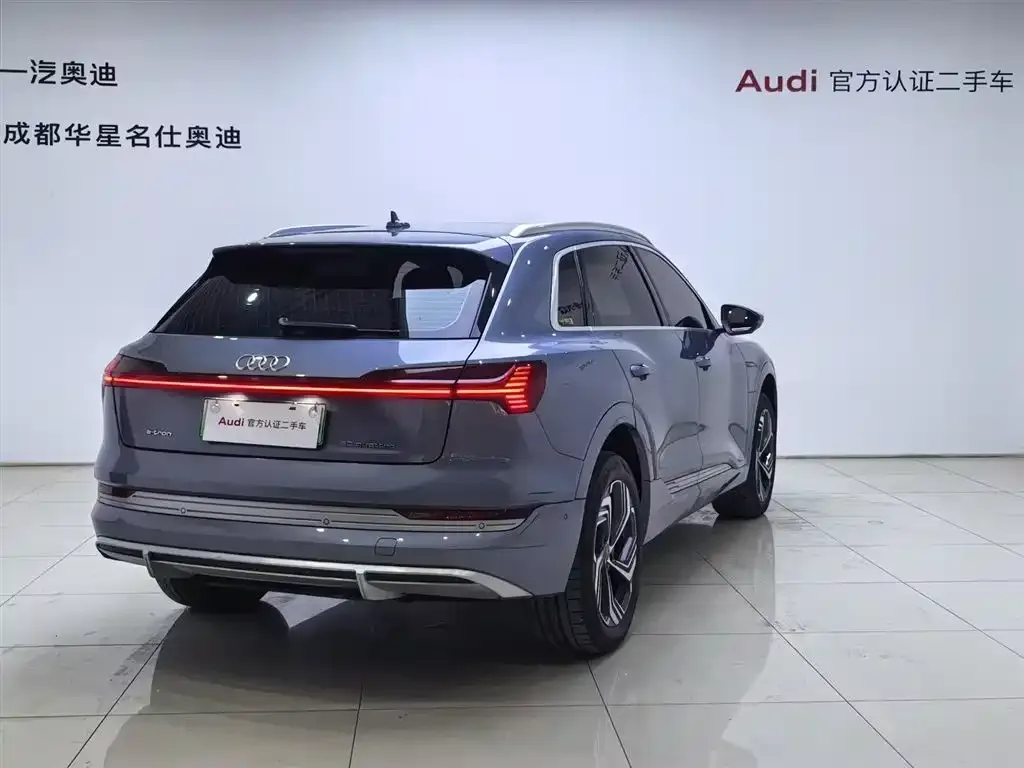 Audi e-tron 2024 из CN, фото 9