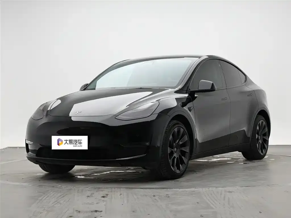 Tesla Model Y — фото 1