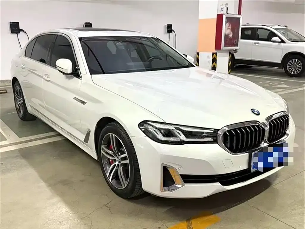 BMW 5 Series 2021 из CN, фото 3
