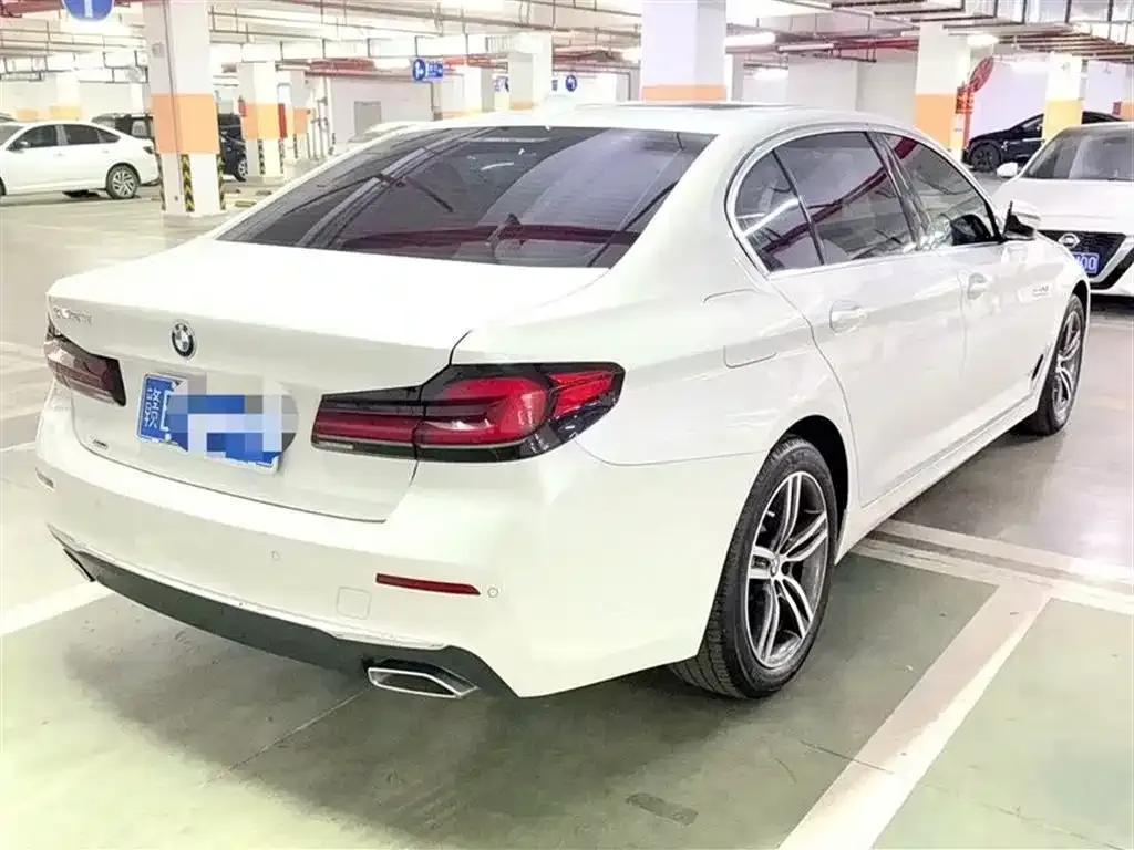 BMW 5 Series 2021 из CN, фото 4