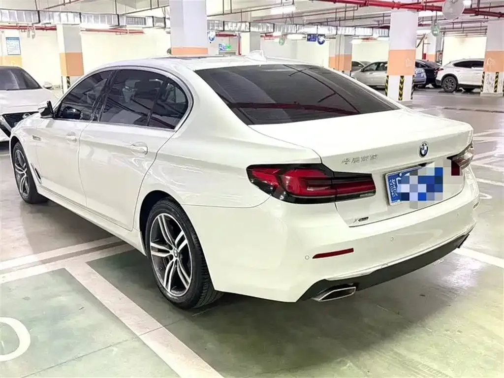 BMW 5 Series 2021 из CN, фото 8