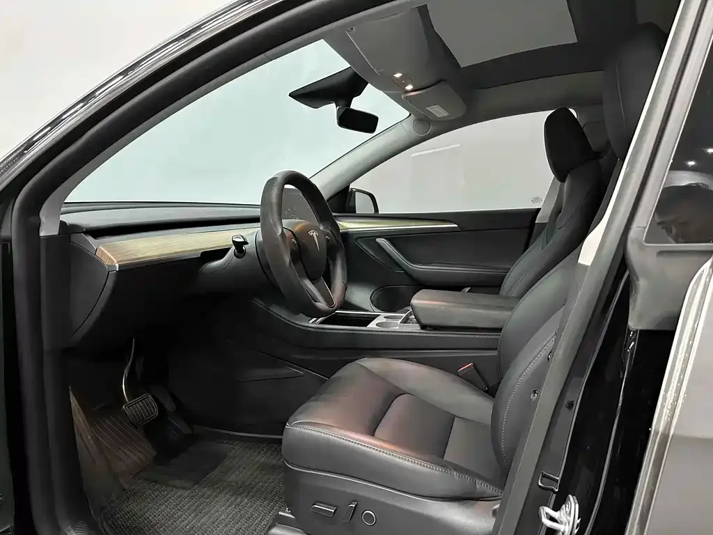 Tesla Model Y — фото 10