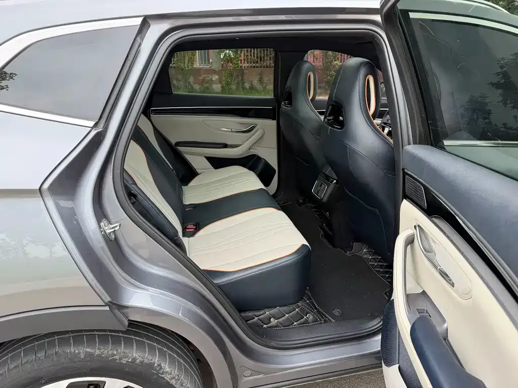 BYD PLUS New Energy 2024 из CN, фото 6