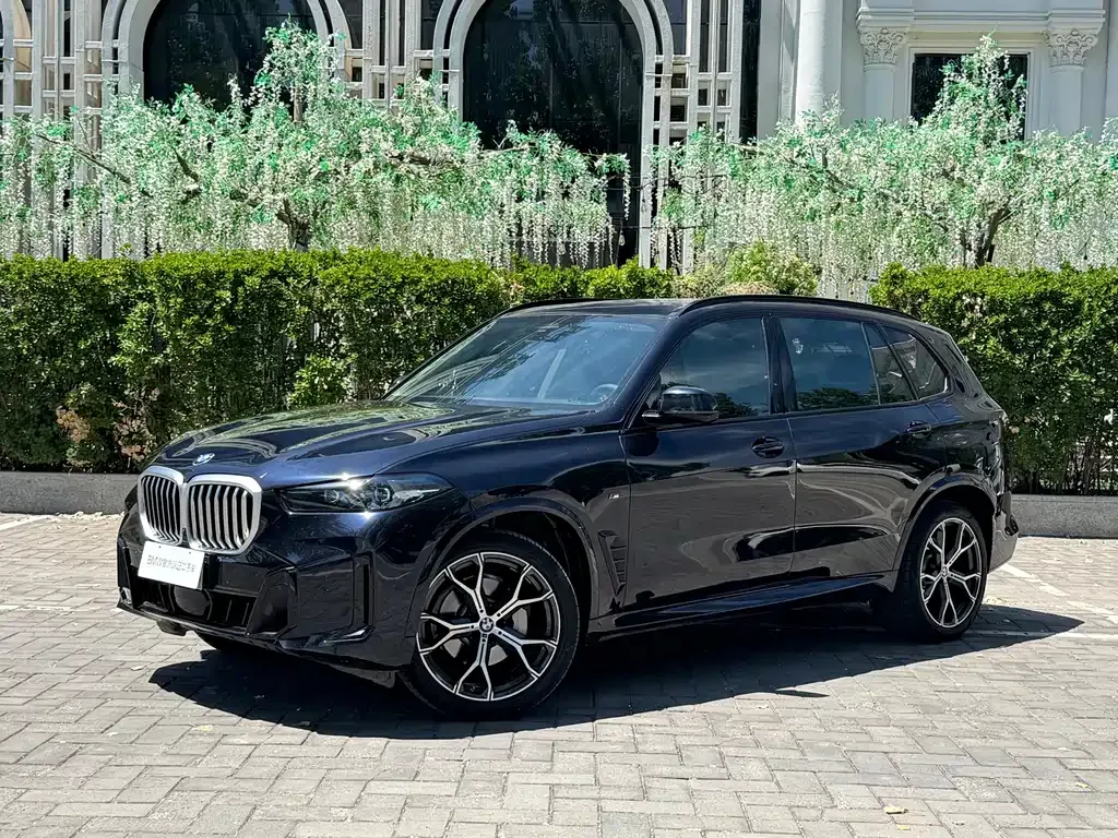 BMW X5 — фото 1