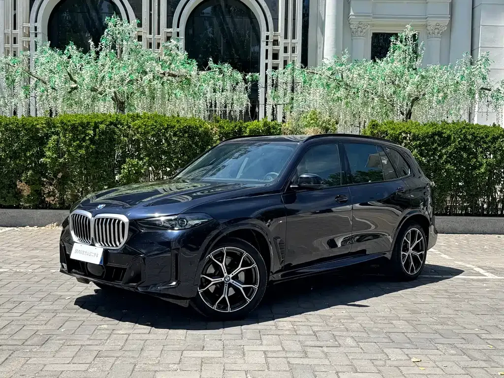 BMW X5 — фото 6