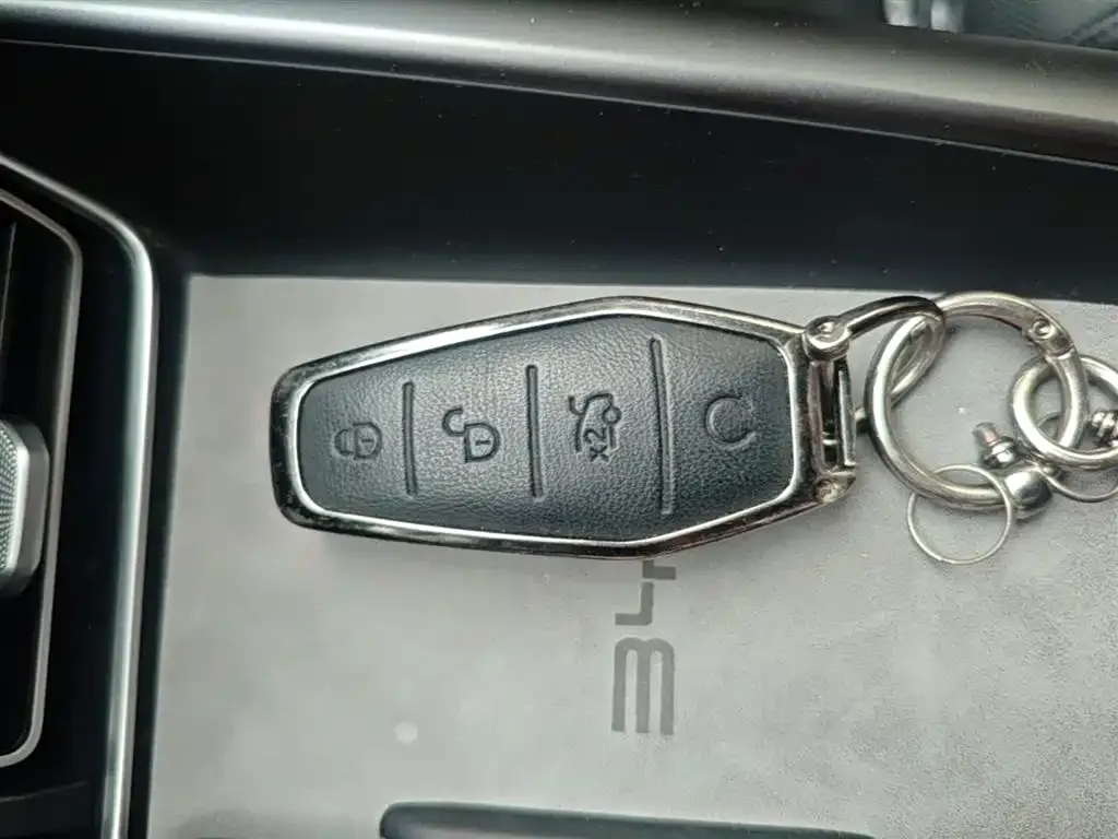 BYD Pro New Energy — фото 6