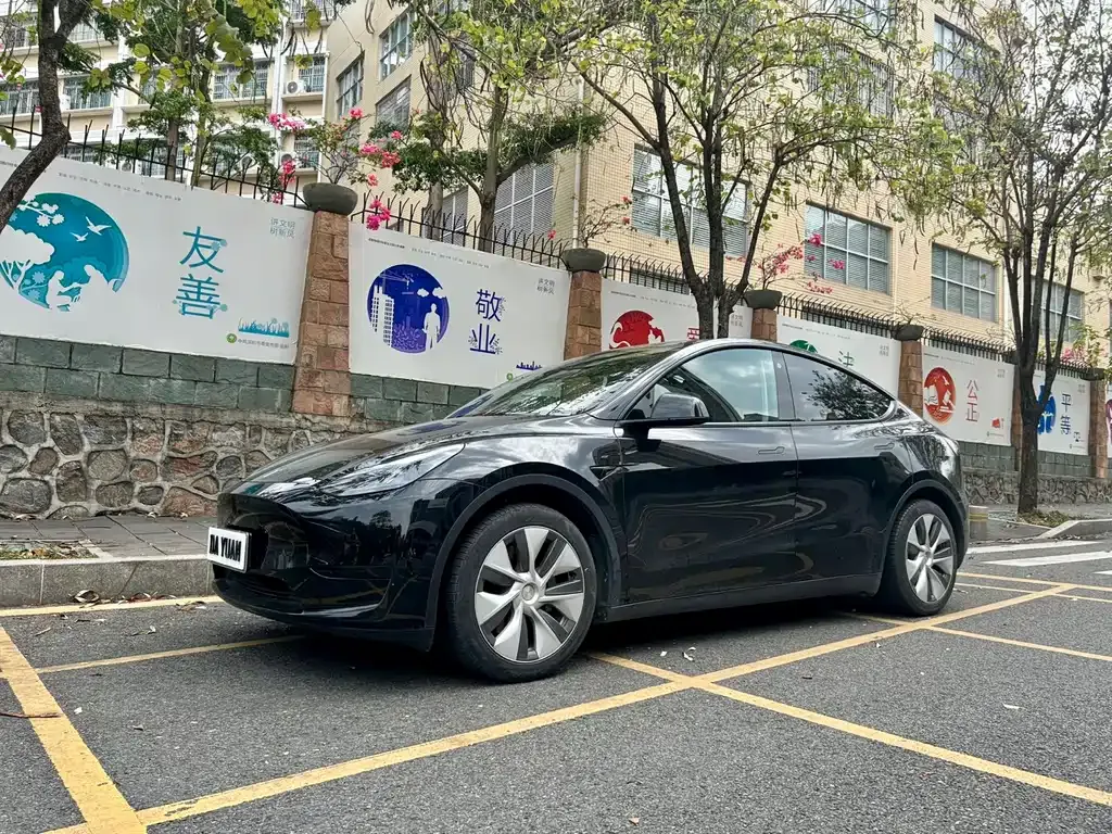 Tesla Model Y — фото 1