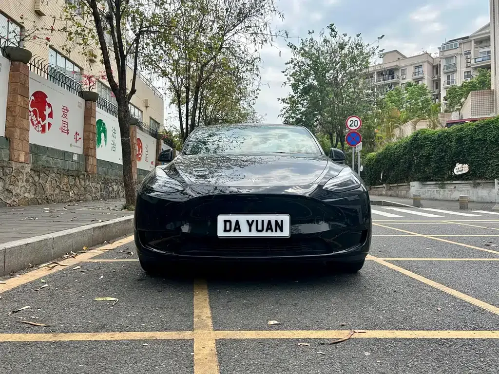 Tesla Model Y — фото 3