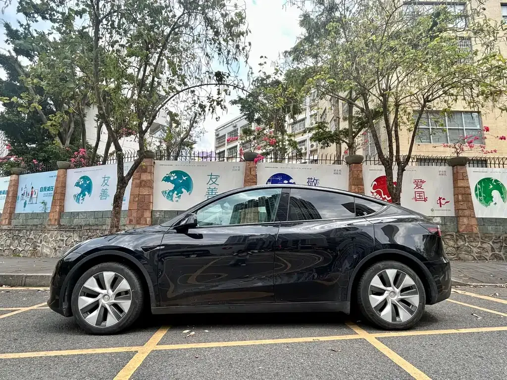 Tesla Model Y — фото 10