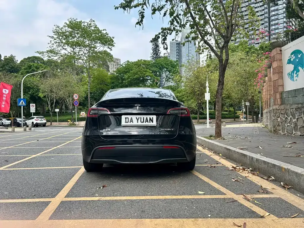 Tesla Model Y — фото 2