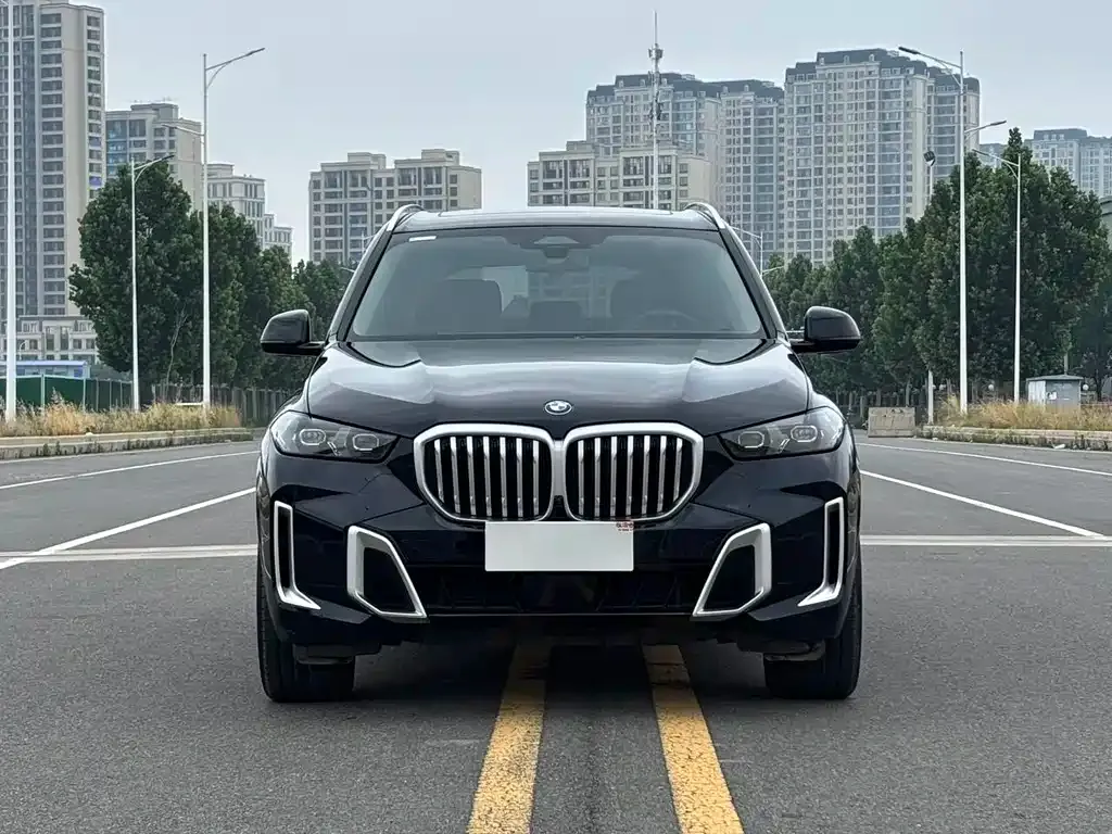 BMW X5 — фото 9