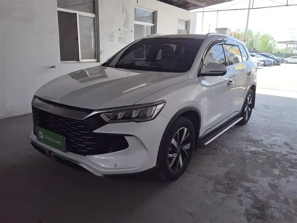 BYD Pro New Energy
