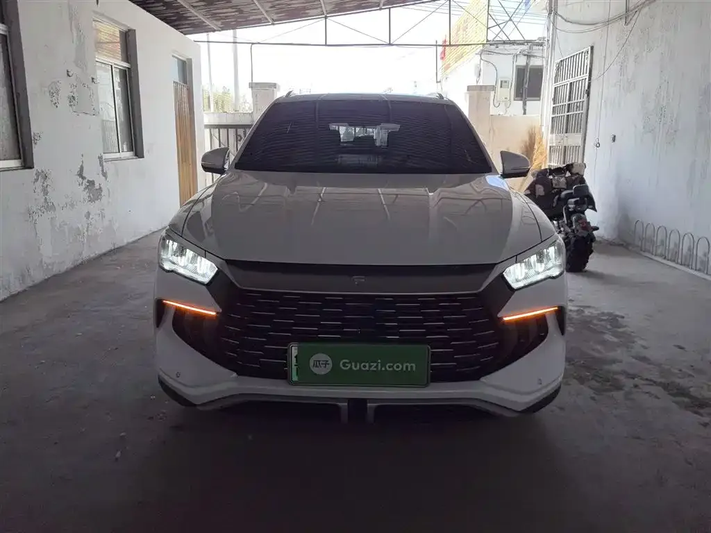 BYD Pro New Energy 2024 из CN, фото 10