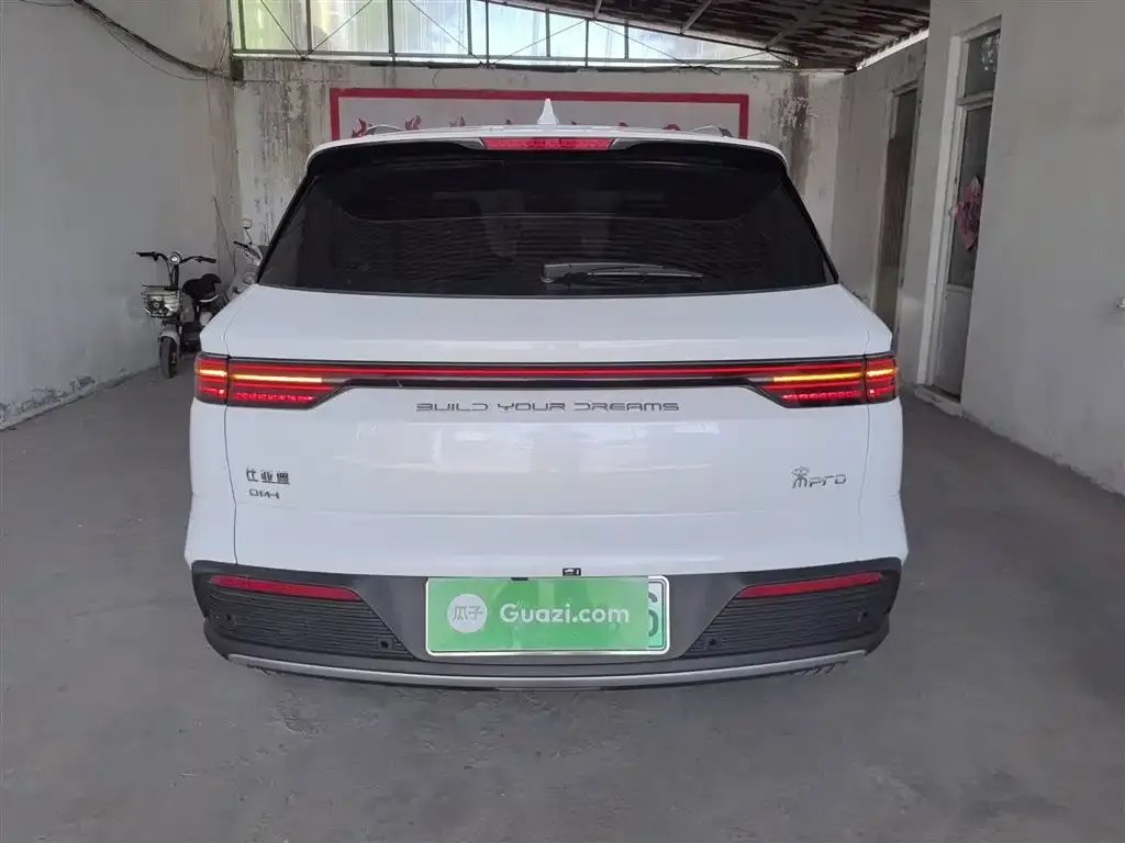 BYD Pro New Energy 2024 из CN, фото 7