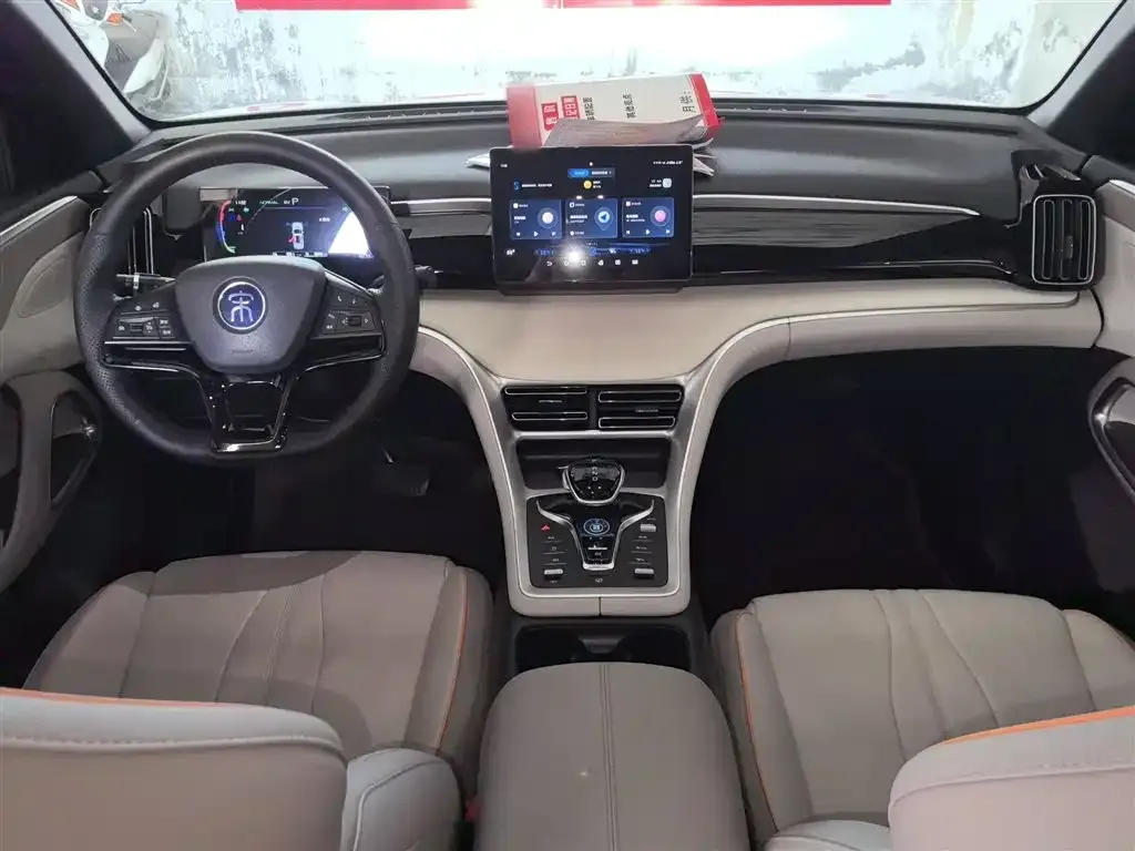 BYD Pro New Energy 2024 из CN, фото 6