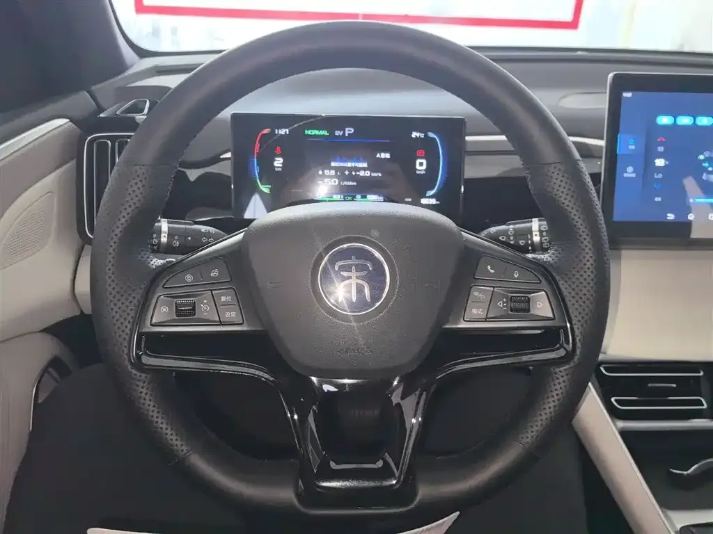 BYD Pro New Energy 2024 из CN, фото 4