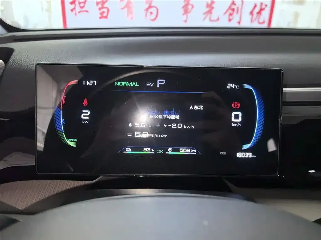 BYD Pro New Energy 2024 из CN, фото 2