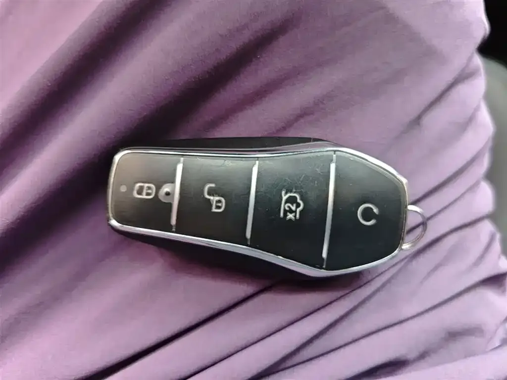BYD Pro New Energy — фото 4