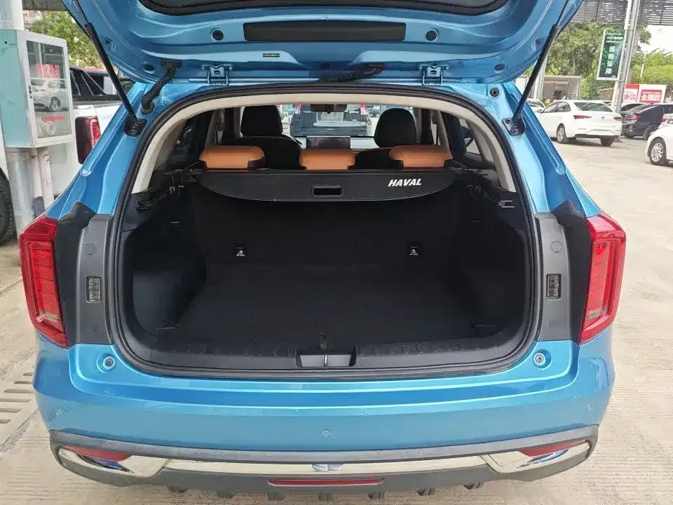 Haval Chulian 2021 из CN, фото 2