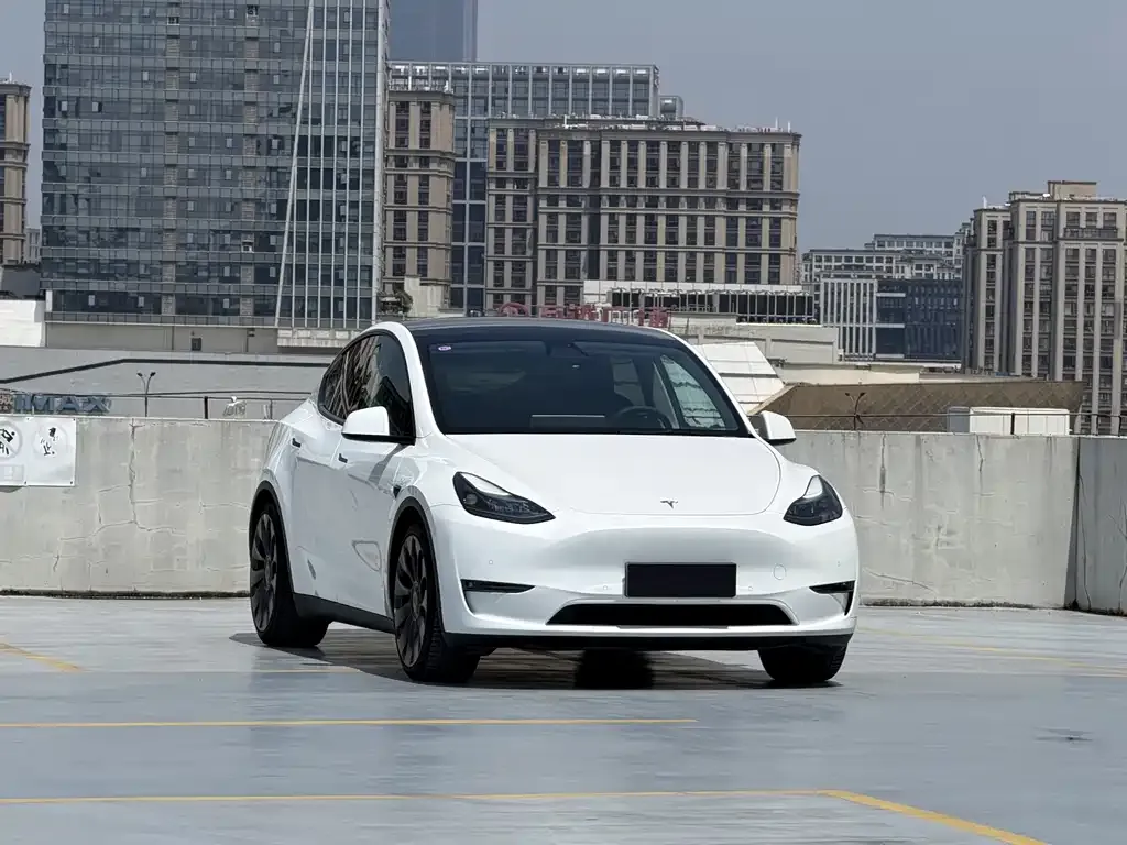 Tesla Model Y — фото 9