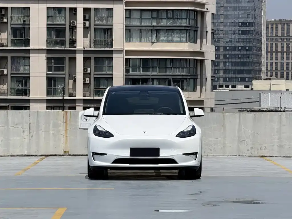 Tesla Model Y — фото 10