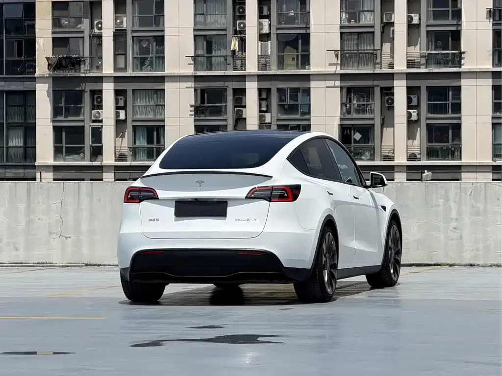 Tesla Model Y — фото 8