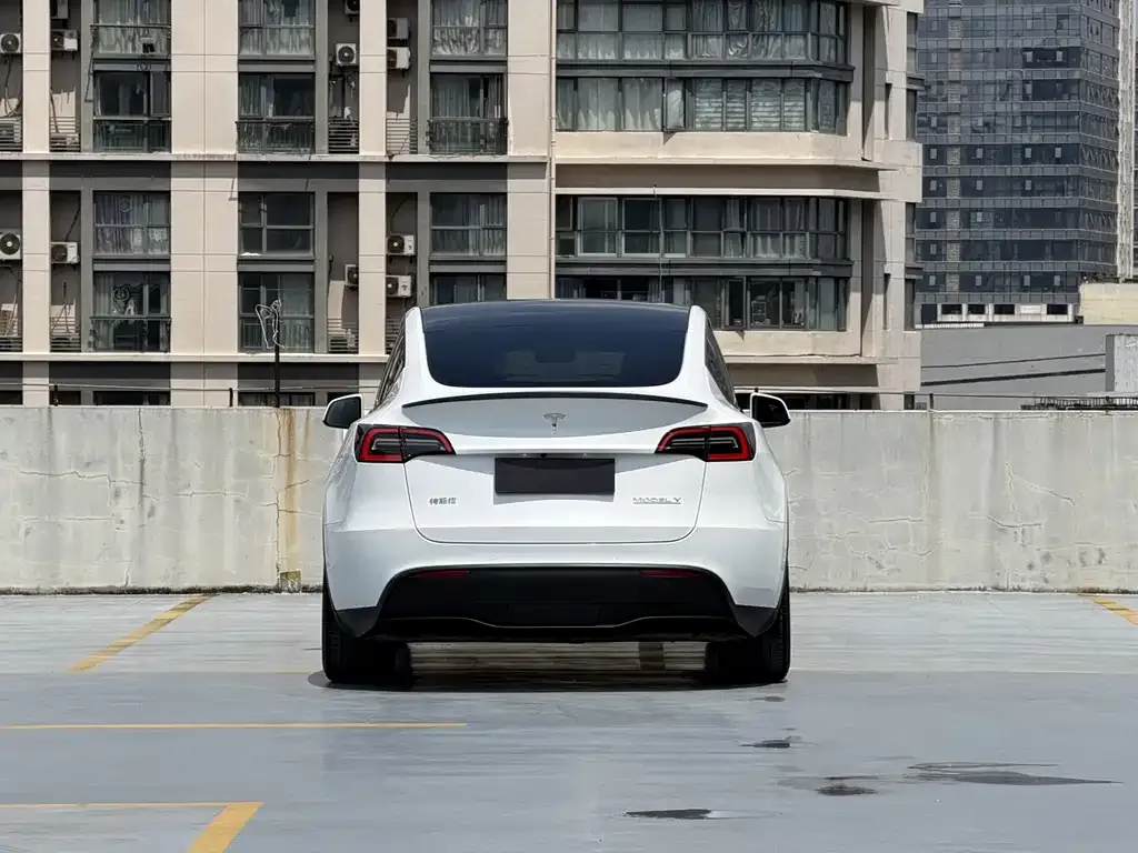 Tesla Model Y — фото 5