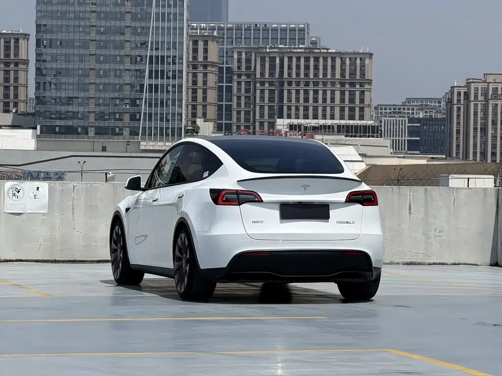 Tesla Model Y — фото 7