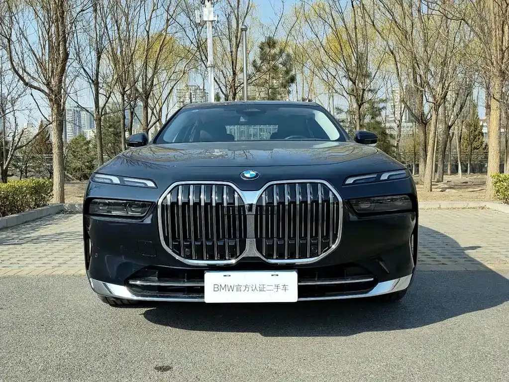 BMW 7 Series 2025 из CN, фото 7