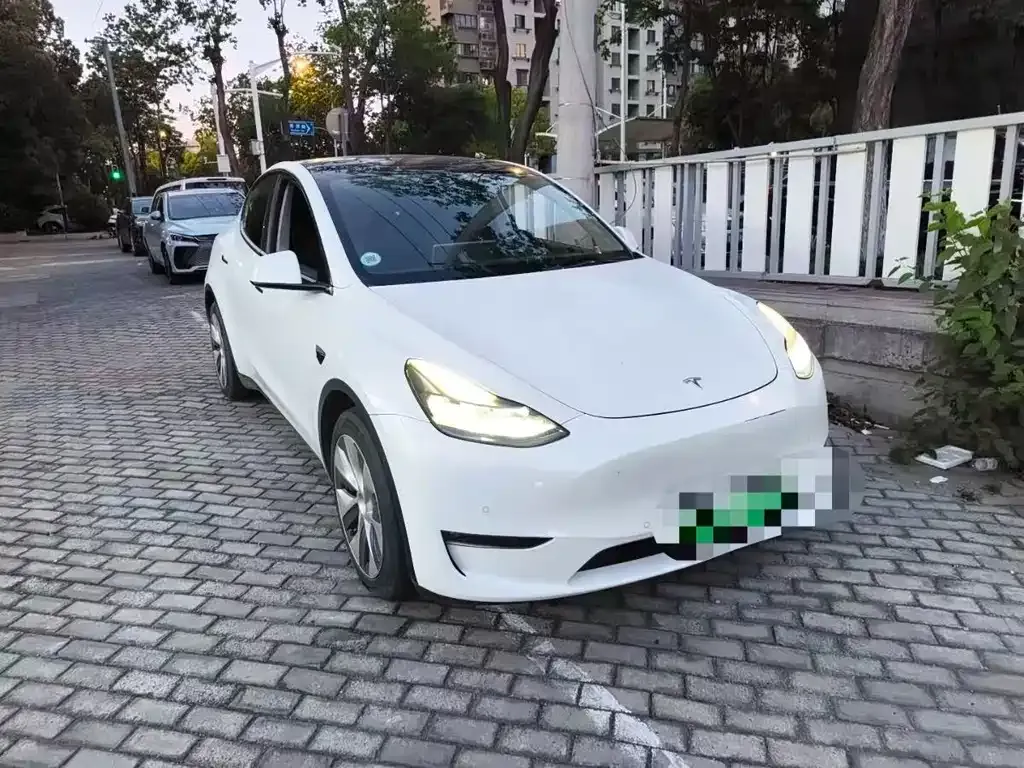 Tesla Model Y — фото 8