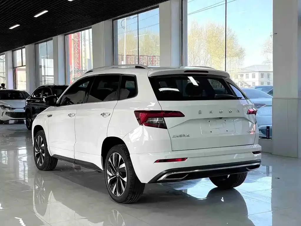 Skoda Karoq — фото 4