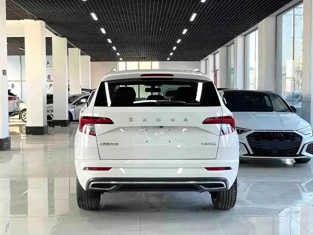Skoda Karoq — фото 7