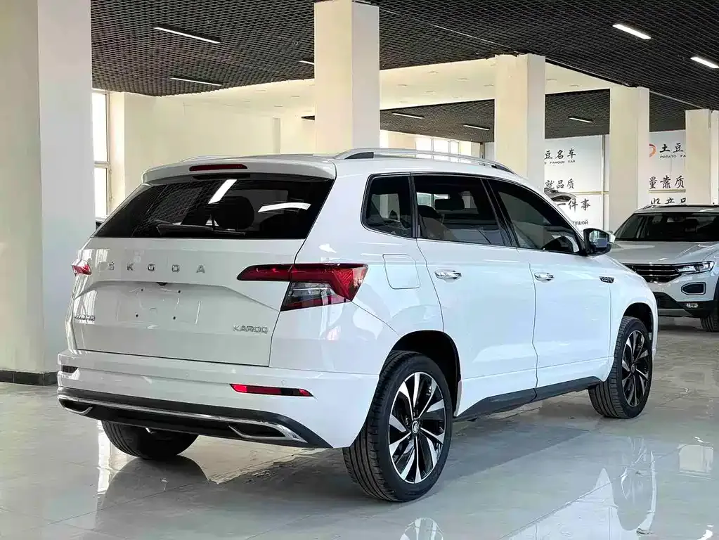 Skoda Karoq — фото 10
