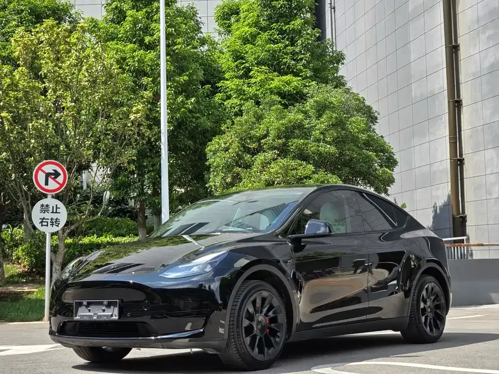 Tesla Model Y — фото 1