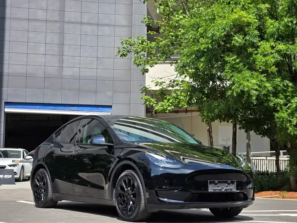 Tesla Model Y — фото 9